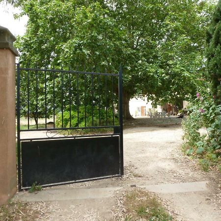 Domaine De Camp Joyeux Apartman Puget-Ville Kültér fotó