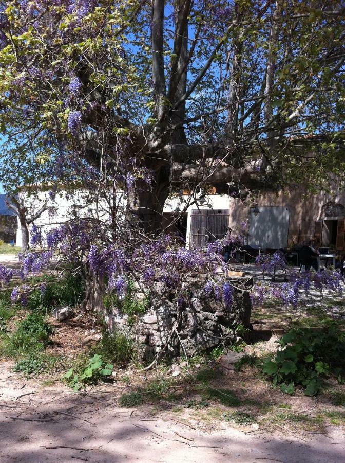 Domaine De Camp Joyeux Apartman Puget-Ville Kültér fotó