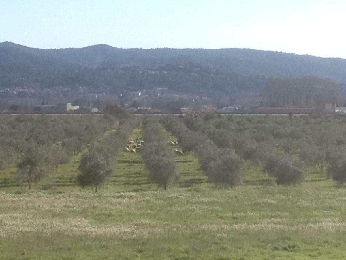 Domaine De Camp Joyeux Apartman Puget-Ville Kültér fotó