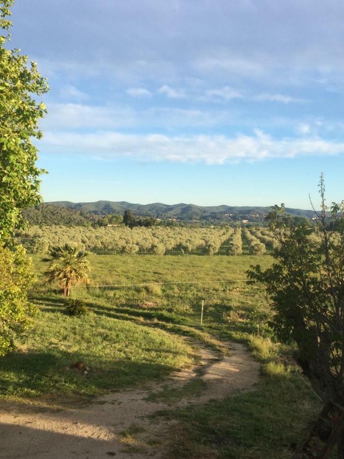 Domaine De Camp Joyeux Apartman Puget-Ville Kültér fotó