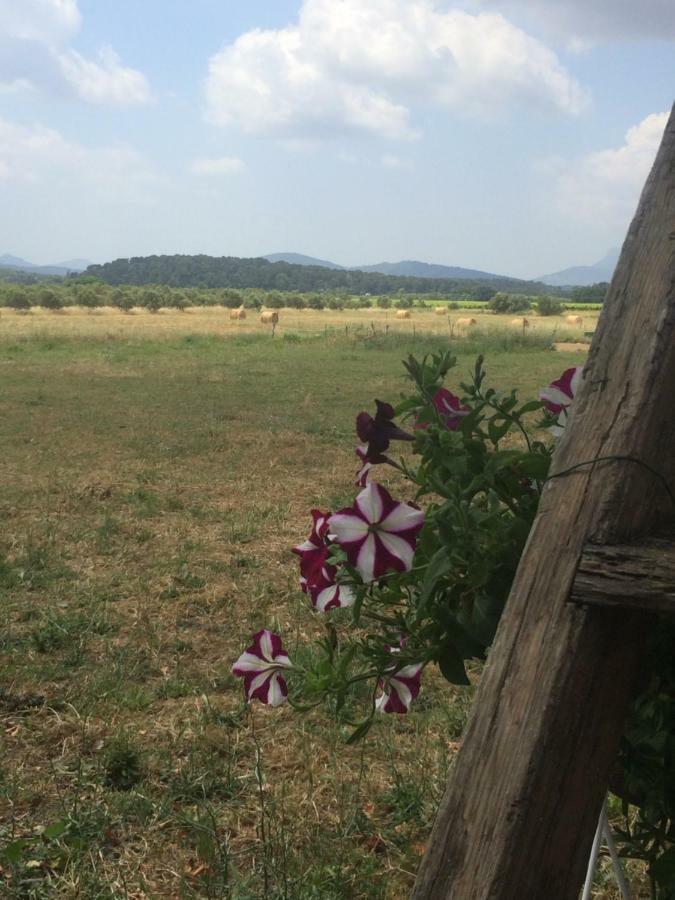 Domaine De Camp Joyeux Apartman Puget-Ville Kültér fotó