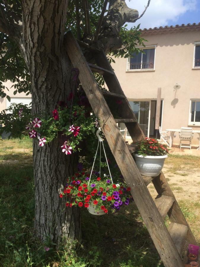Domaine De Camp Joyeux Apartman Puget-Ville Kültér fotó