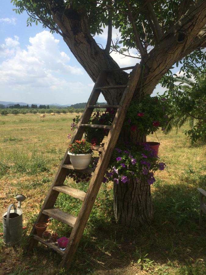 Domaine De Camp Joyeux Apartman Puget-Ville Kültér fotó